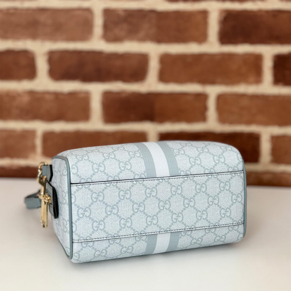 Gvc*1 Ophidia mini top handle bag