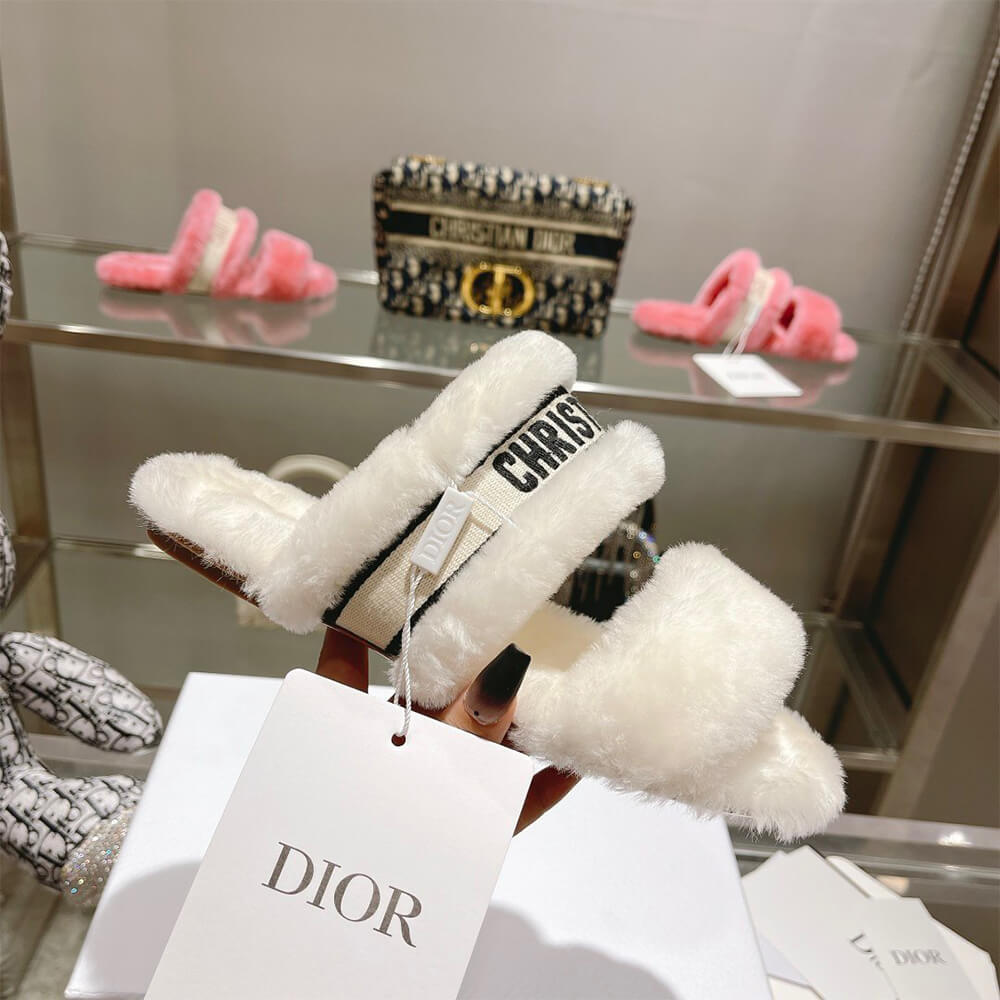 D10r CHEZ MOI SLIDE