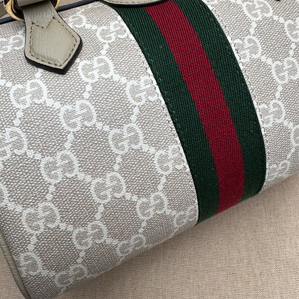 Gvc*1 Ophidia mini top handle bag