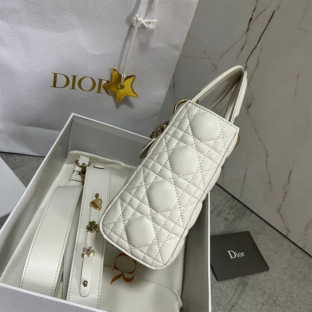 SMALL LADY D10r MY ABCD10r BAG