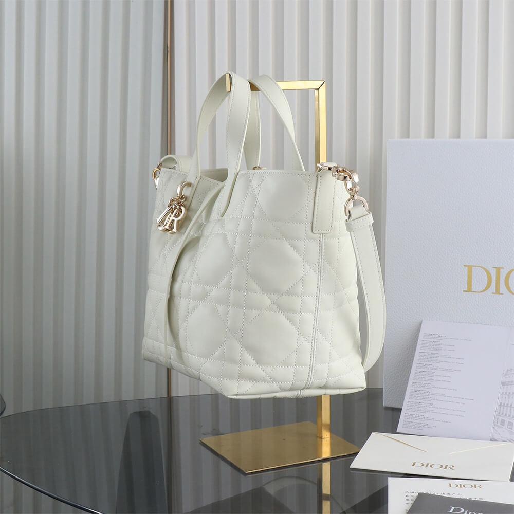 Medium D10r Toujours Vertical Tote Bag(high-end grade)