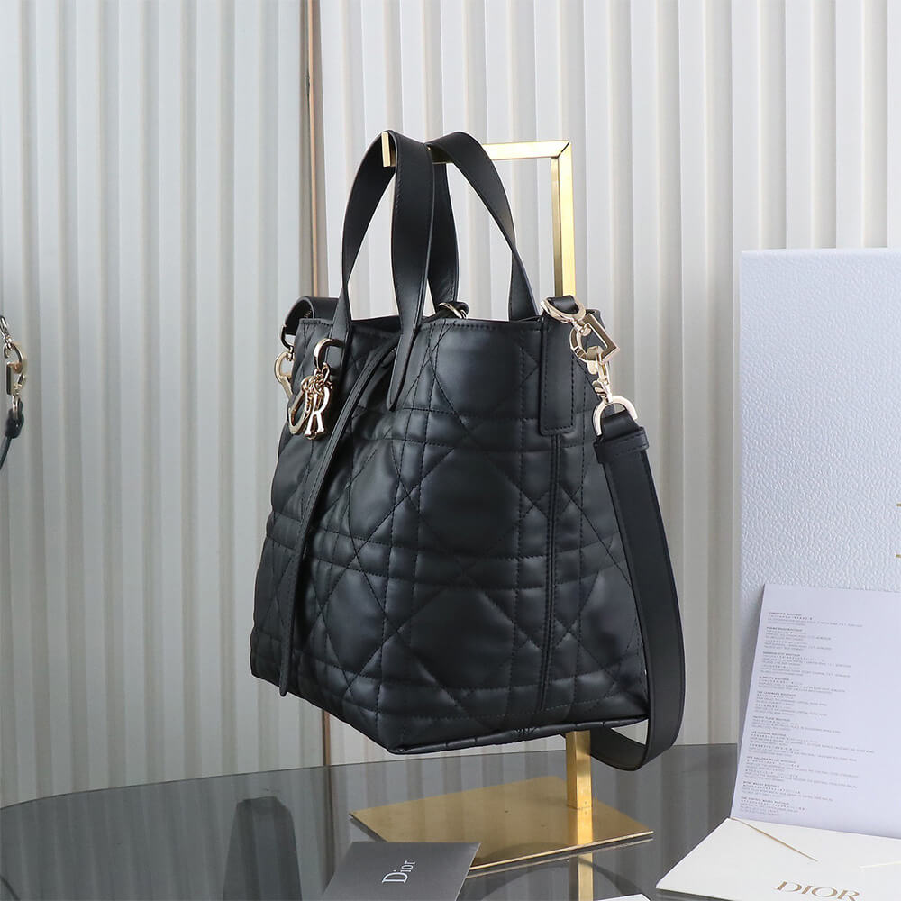 Medium D10r Toujours Vertical Tote Bag(high-end grade)