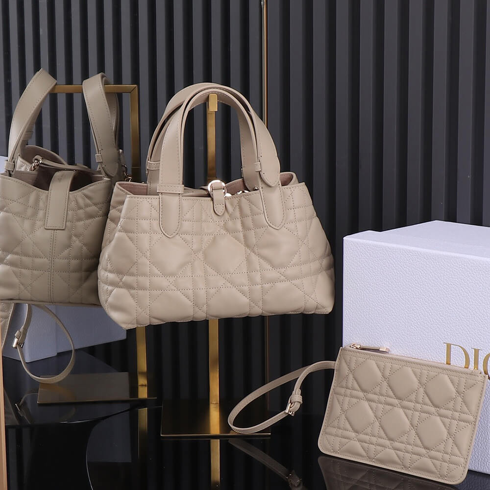 SMALL D10r TOUJOURS BAG(HIGH-END GRADE)