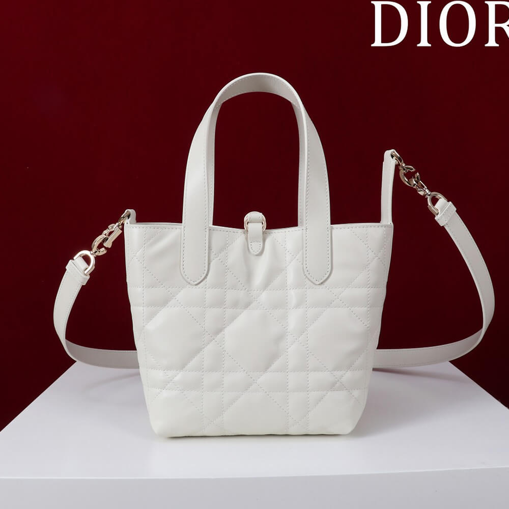 Small D10r Toujours Vertical Tote Bag(high-end grade)