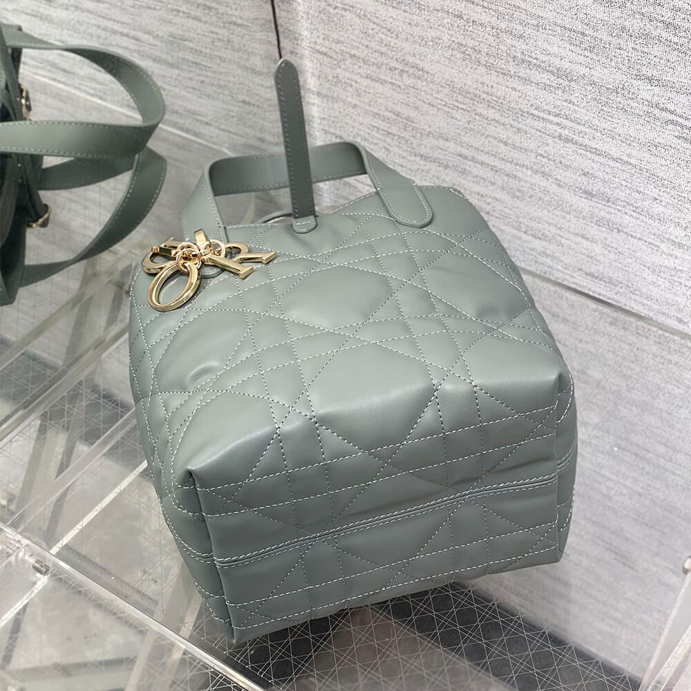 Small D10r Toujours Vertical Tote Bag(high-end grade)