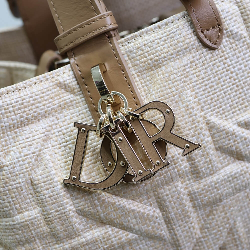 Medium D10r Toujours Bag