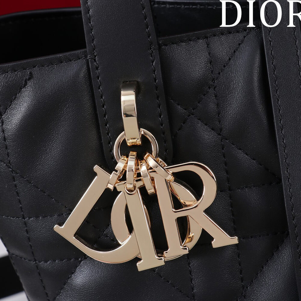 Small D10r Toujours Vertical Tote Bag(high-end grade)