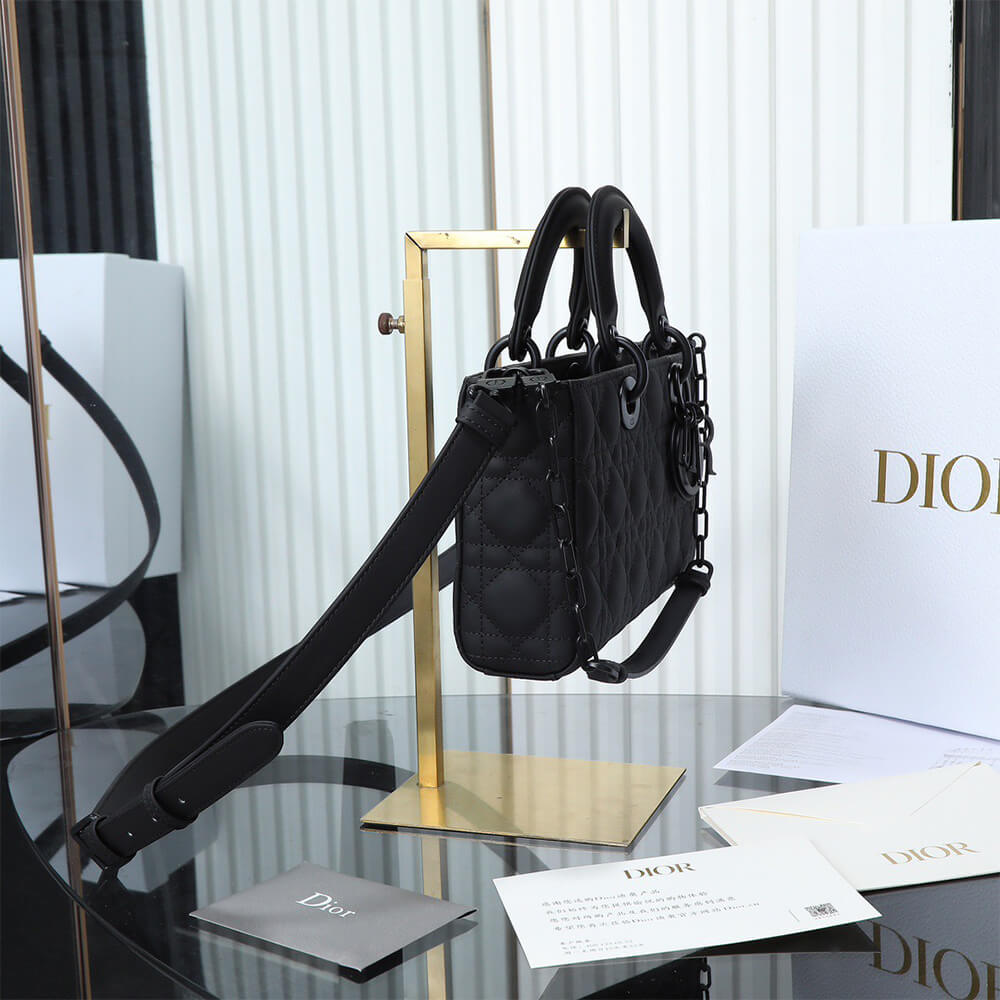 D10r Medium Lady D-Joy Bag(HIGH-END GRADE)