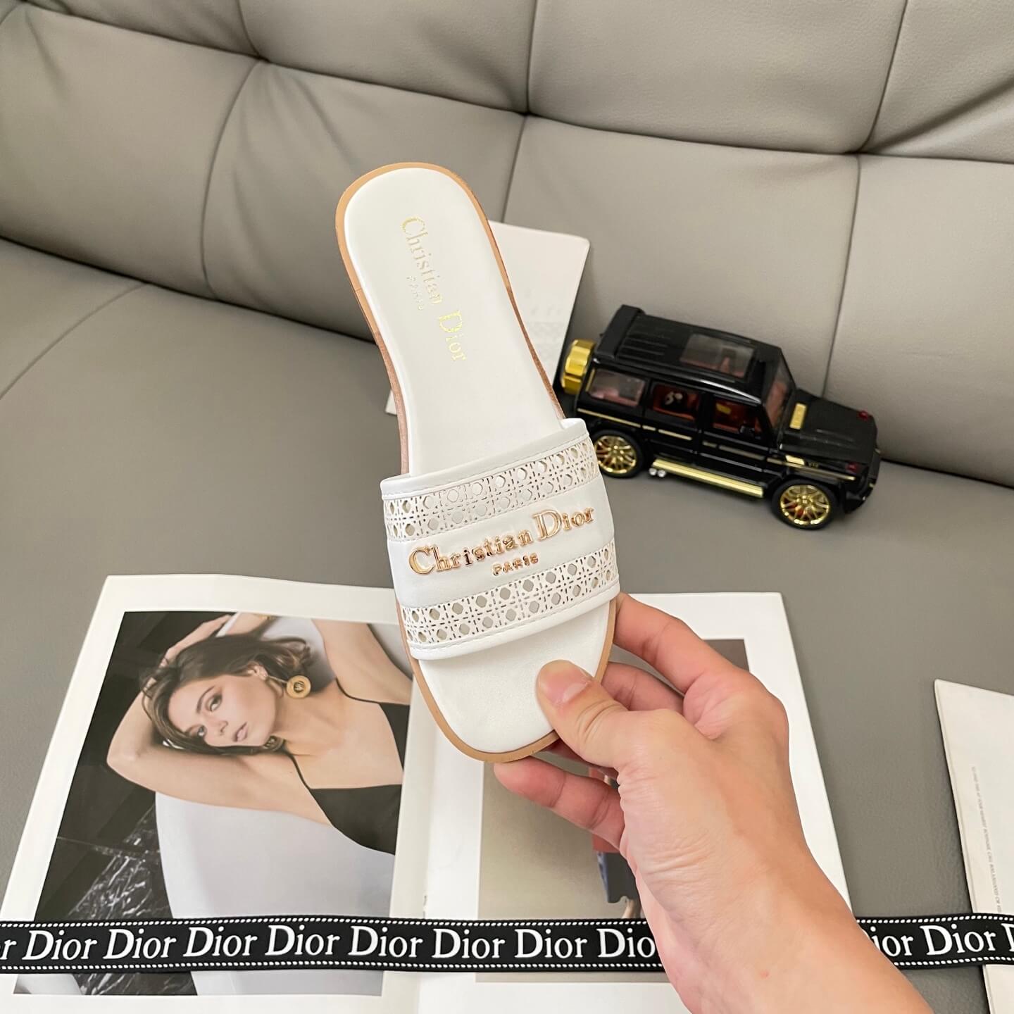 D10r D-Lane Slides