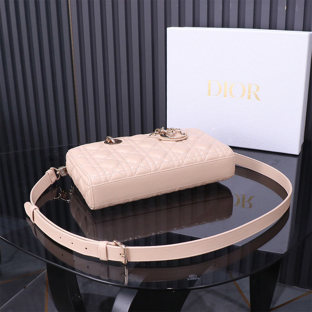 D10r Medium Lady D-Joy Bag(HIGH-END GRADE)
