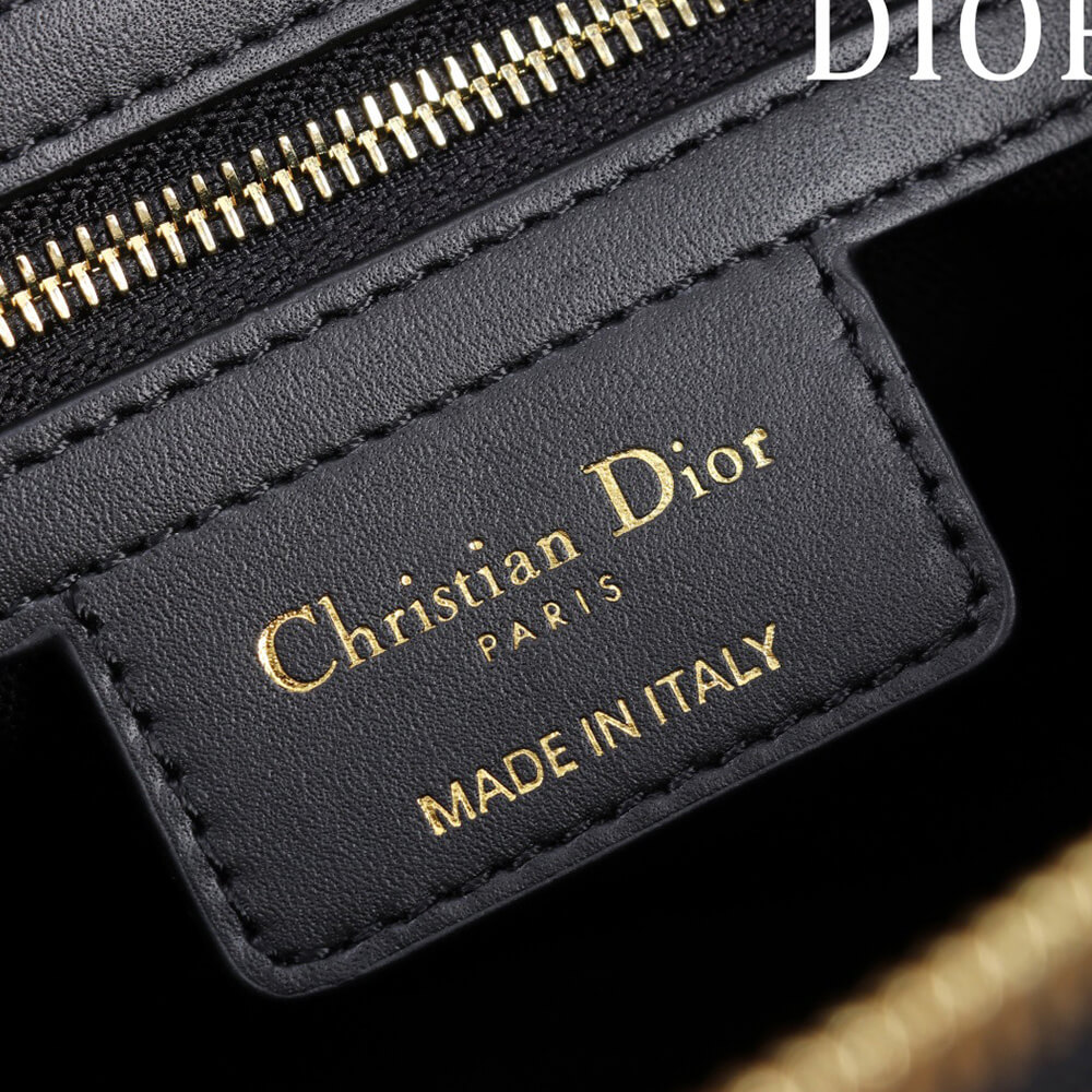 D10r Small D-Journey Bag in Vintage Smooth Calfskin(HIGH-END GRADE)