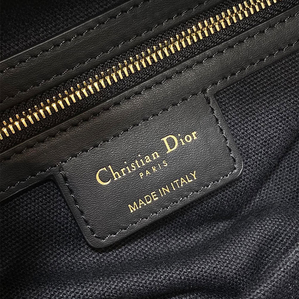 D10r Small D-Journey Bag in Vintage Smooth Calfskin(HIGH-END GRADE)