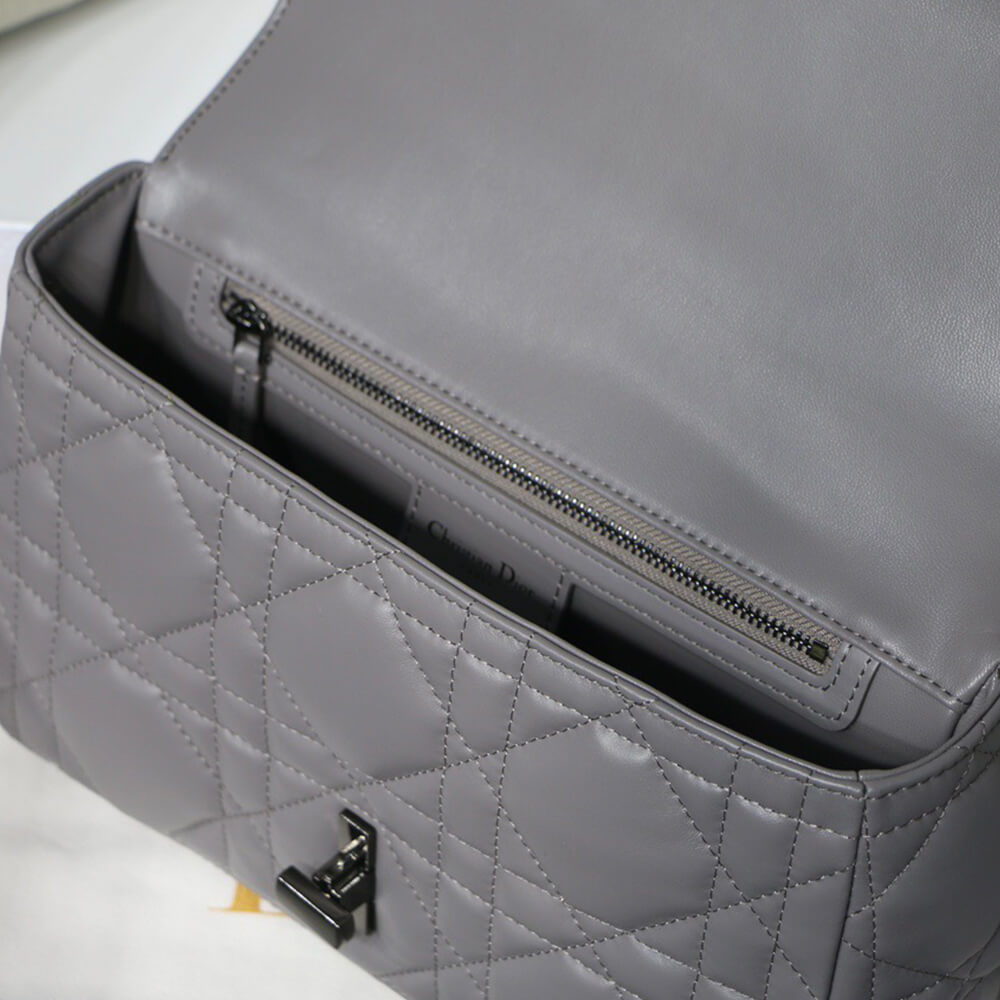MEDIUM D10r CARO BAG(HIGH-END GRADE)