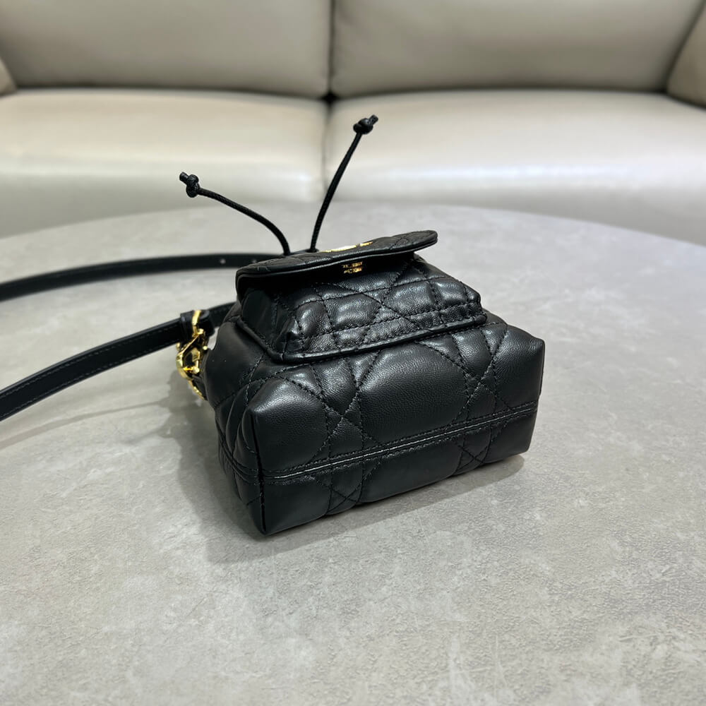 D10r Caro Nano Bucket Bag(HIGH-END GRADE)
