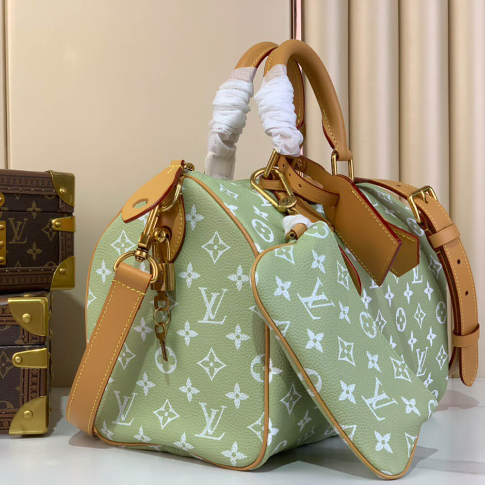 LV Speedy P9 Bandoulière 30 Bag