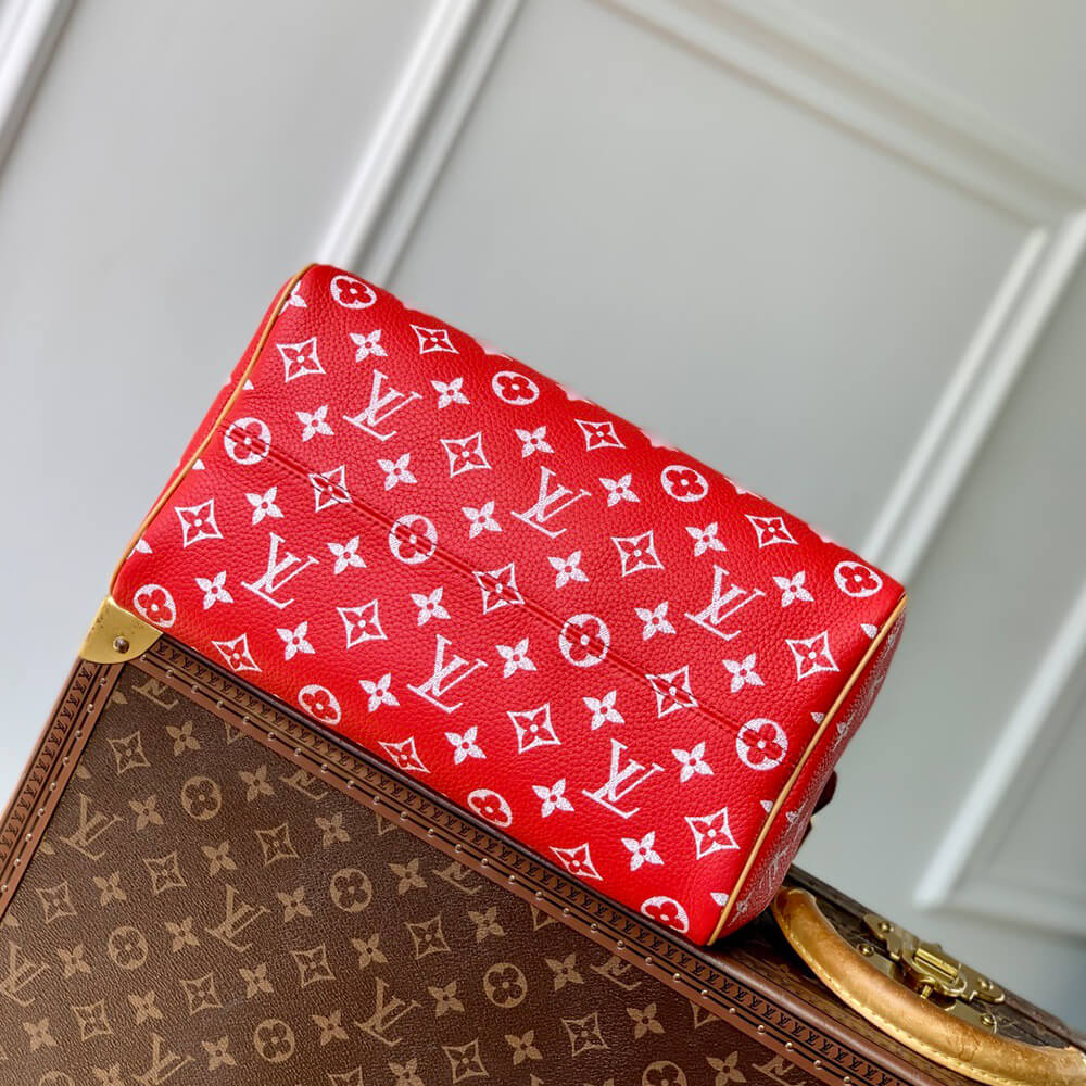 LV Speedy P9 Bandoulière 30 Bag