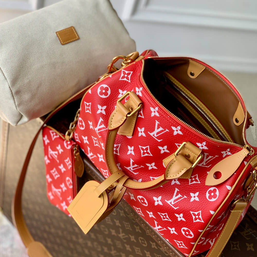 LV Speedy P9 Bandoulière 30 Bag