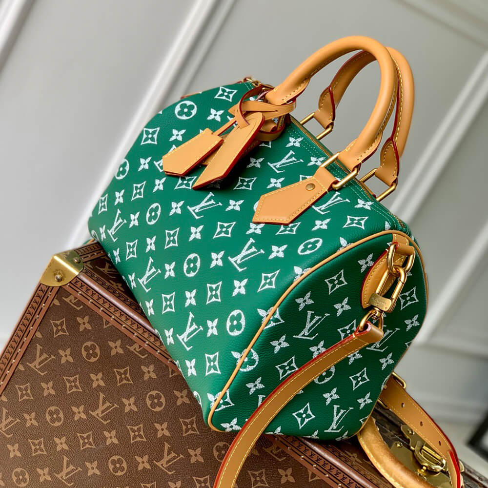 LV Speedy P9 Bandoulière 30 Bag