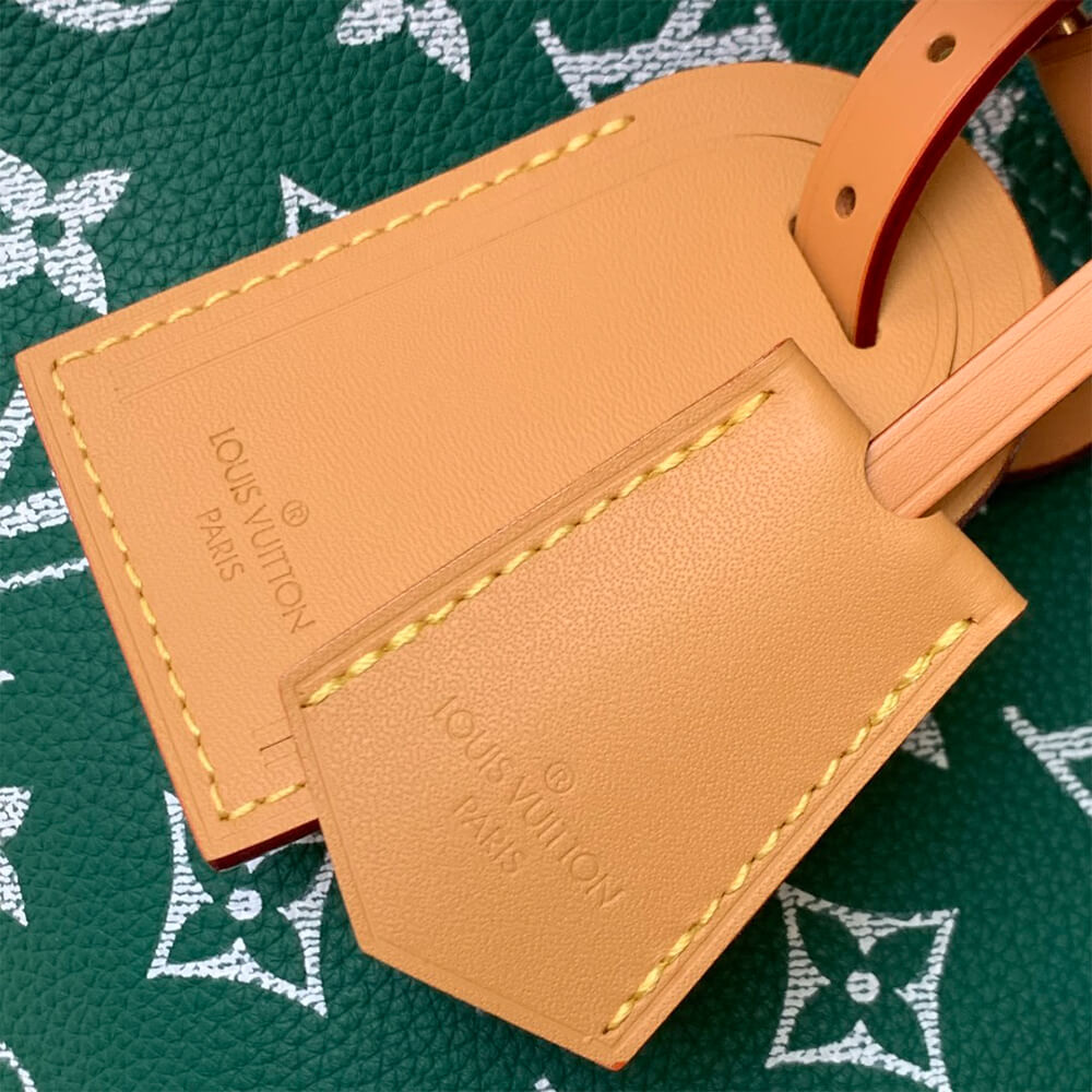 LV Speedy P9 Bandoulière 30 Bag