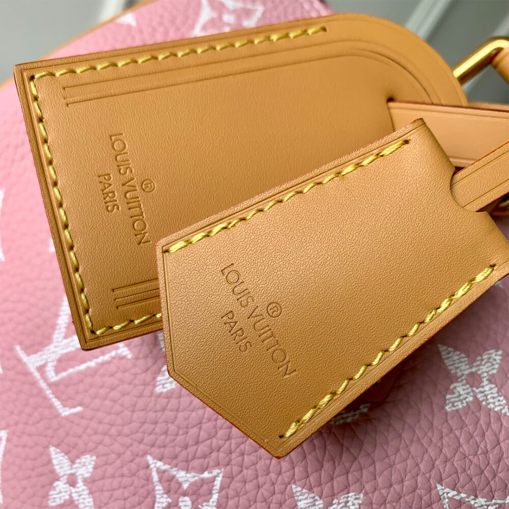 LV Speedy P9 Bandoulière 30 Bag