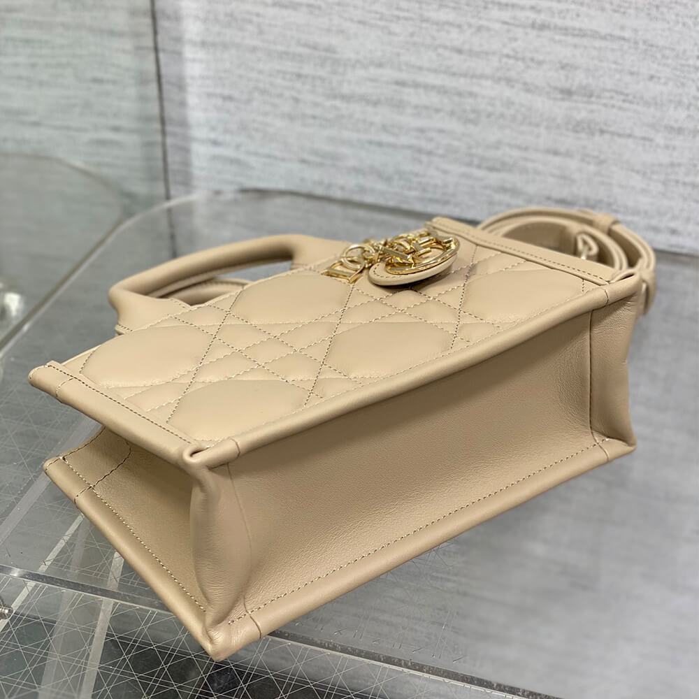 Mini D10r Book Tote(high-end grade)