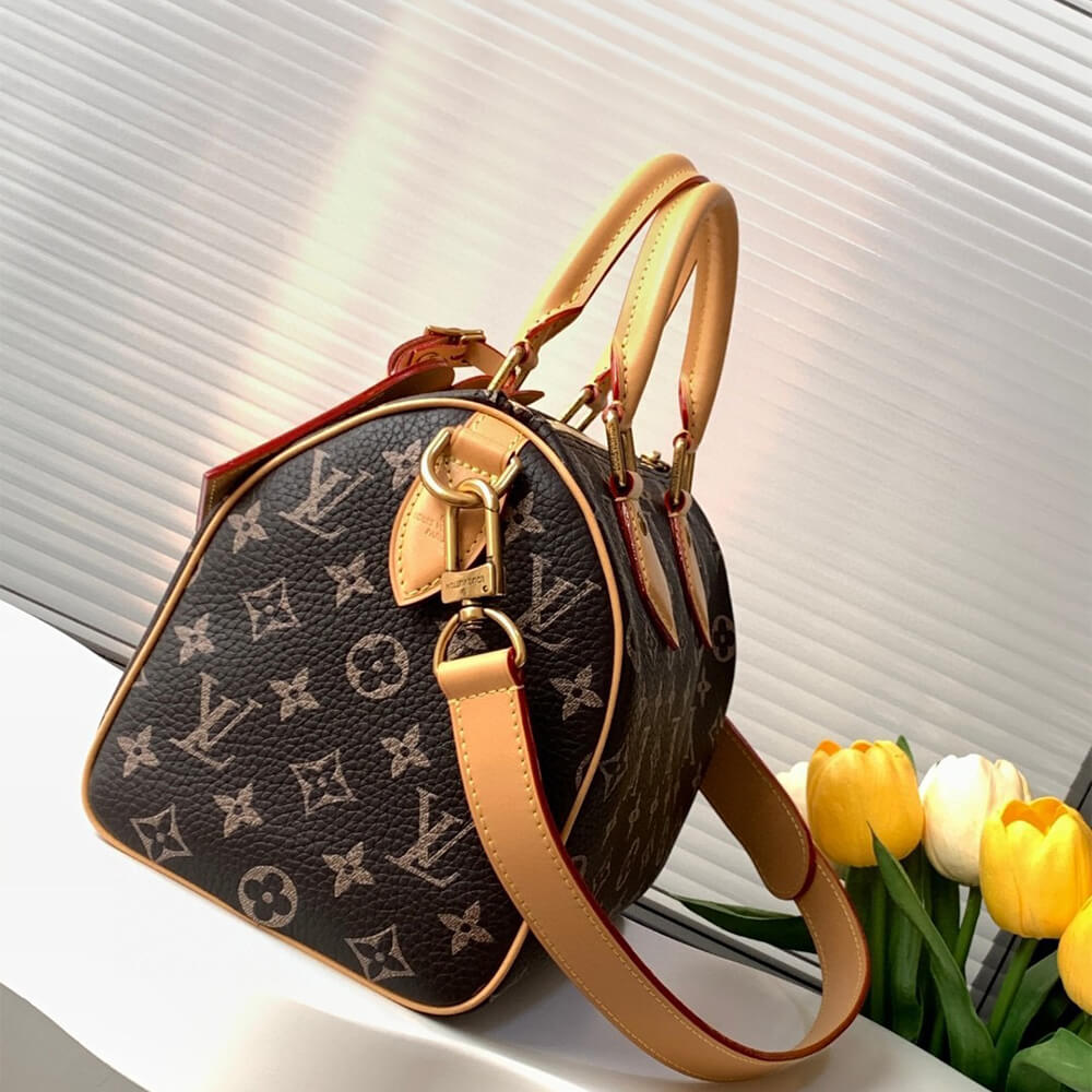 LV Speedy P9 Bandouliere 25(high-end Grade)