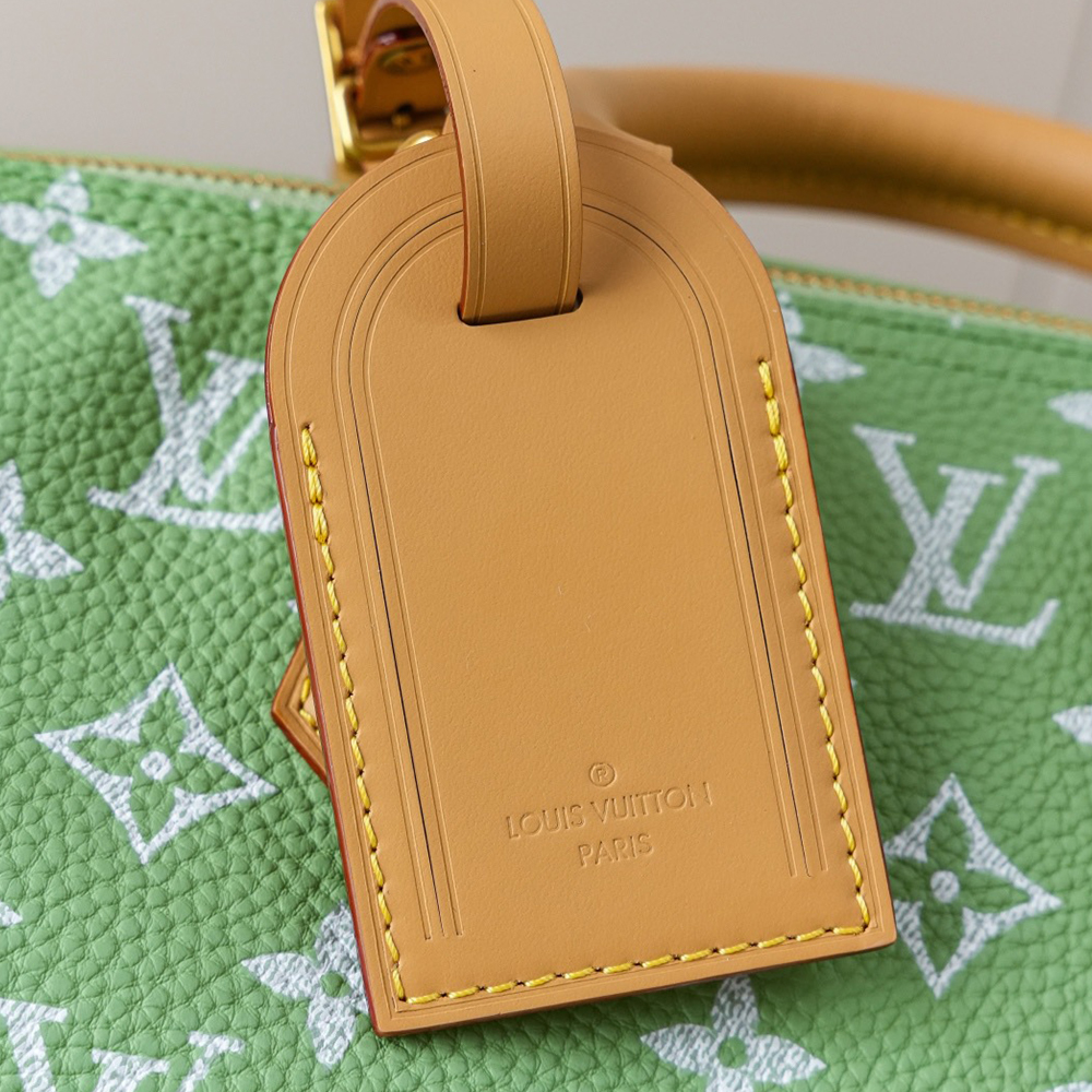 LV Speedy P9 Bandoulière 30 Bag(HIGH-END GRADE)