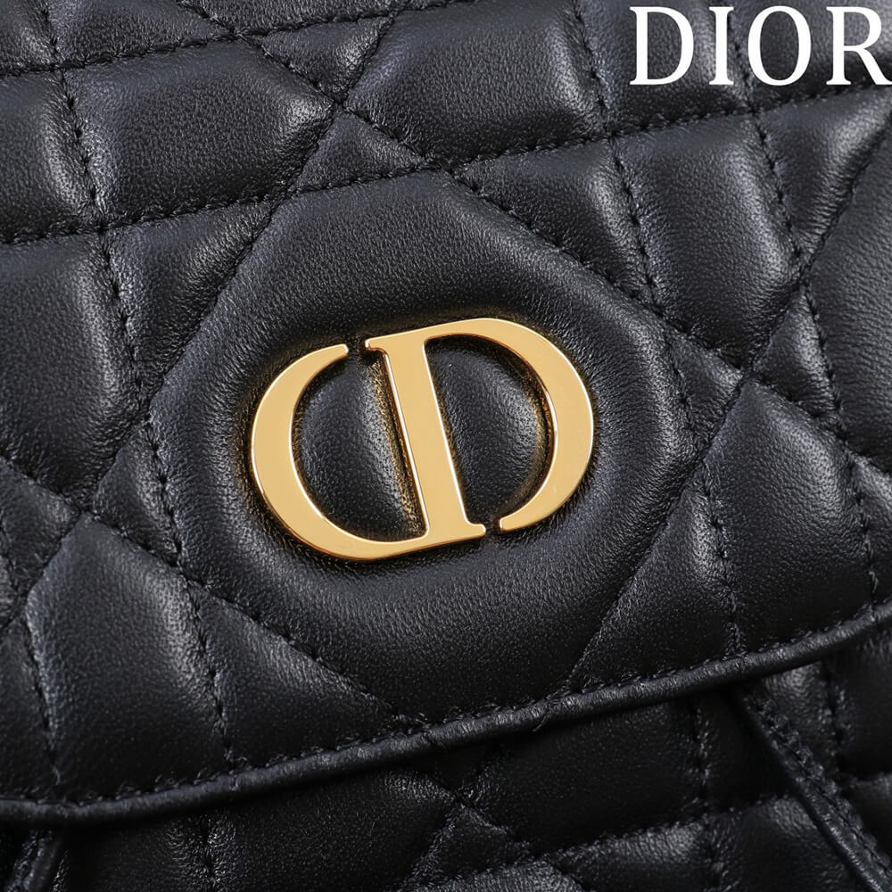 Medium D10r Caro Backpack(HIGH-END GRADE)