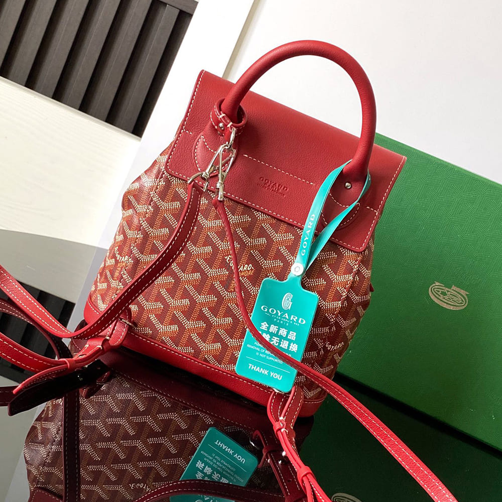 G09ard Alpin Mini Backpack